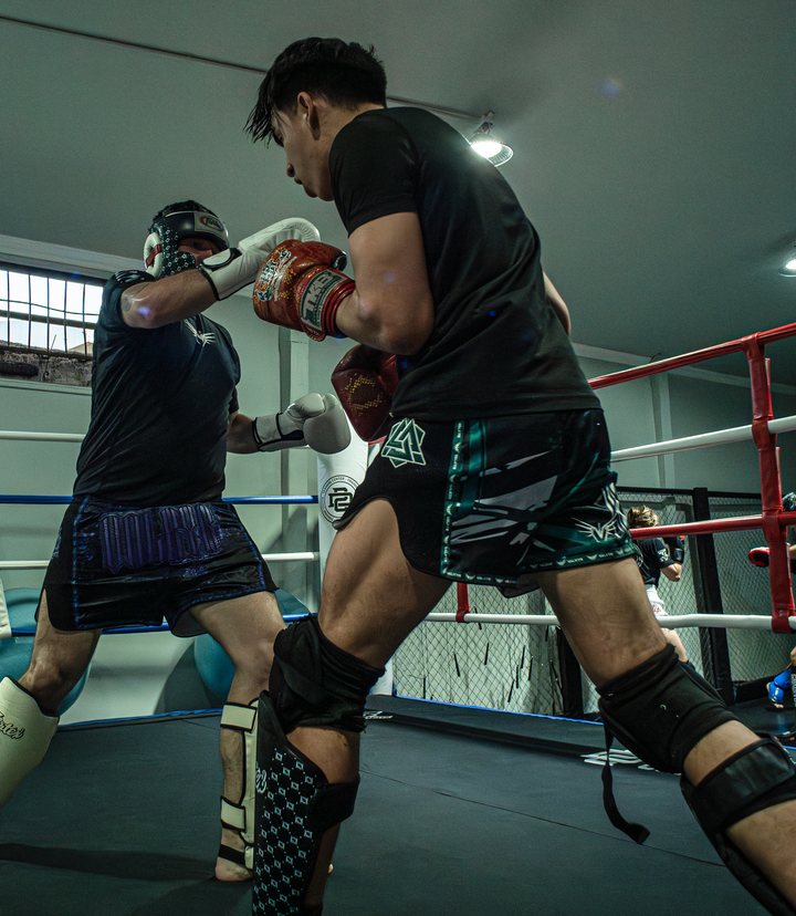 Combat Juvenil en 2D Gym