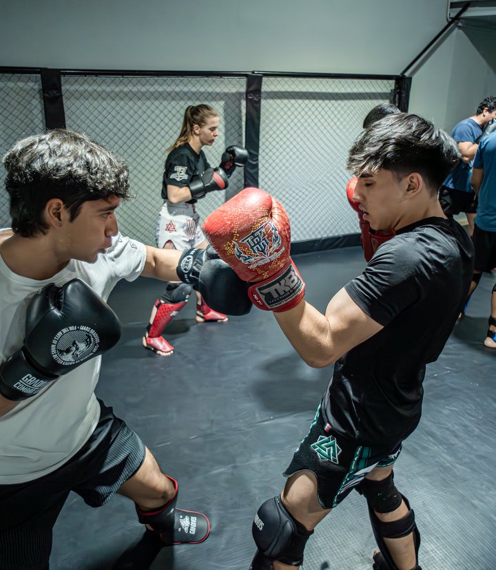Combat Juvenil en 2D Gym